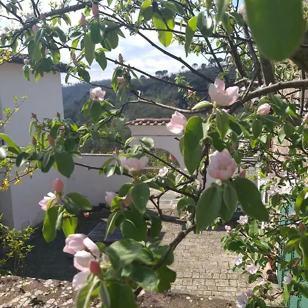Chiantivillas Torricella, 27 Willa *